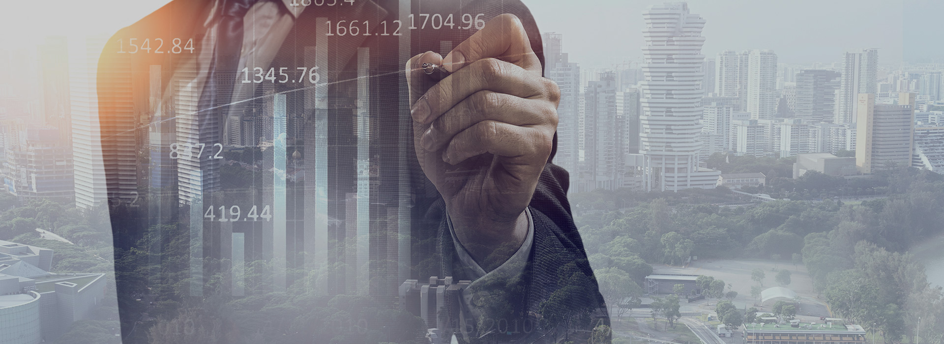 The financial investment